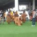Dialogue national artistes