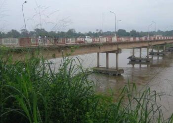 Pont de la Ngounié