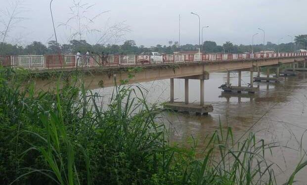 Pont de la Ngounié