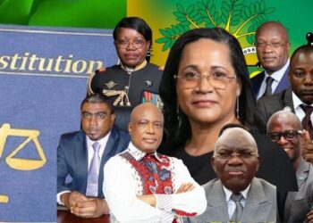 Conseil constitutionnel national