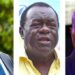 Féfé Onanga Oligui Nguema