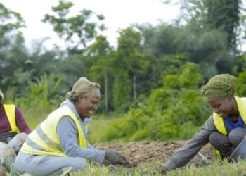 Les femmes travaillant dans le cadre du projet Igad @D.R