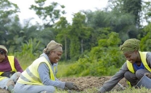 Les femmes travaillant dans le cadre du projet Igad @D.R