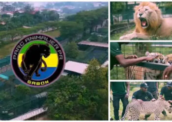 Parc animalier tarifs