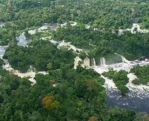 Protection de l'environnement 