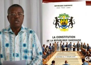 CNR constitution