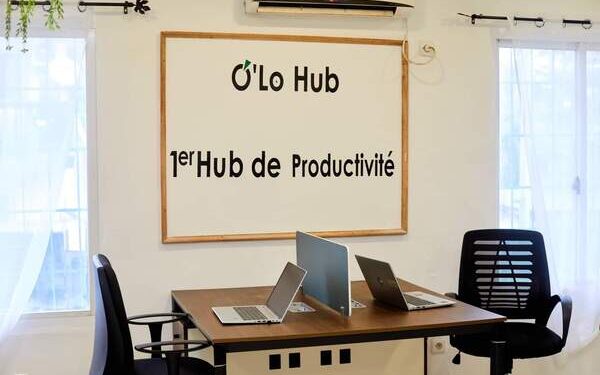 Ogooué Labs digital