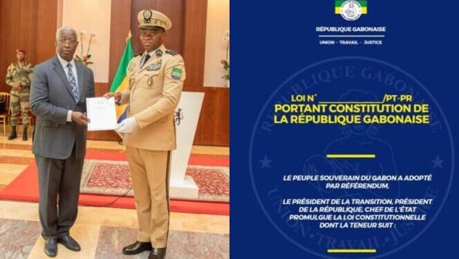 intégralité projet constitution