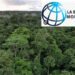 La banque mondiale estime que le secteur forestier gabonais peut rapporter