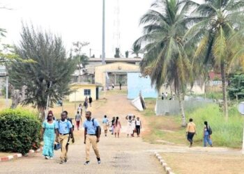 Bagarres en milieu scolaire