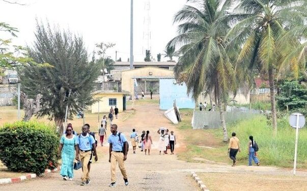 Bagarres en milieu scolaire