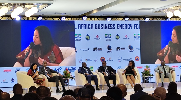 Le projet CAPS avec le ministre Marcel Abeke au dernier panel du Cabef