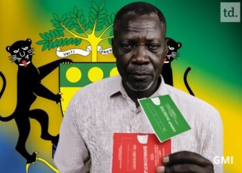 Constitution oui Vert