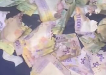 Les souris mangent ses 400 000 FCFA cotisés dans la caisse
