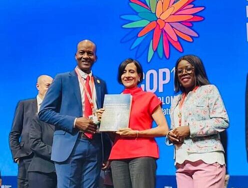 Gabon cop16
