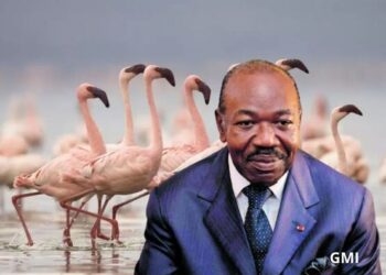 Cambriolage chez Ali Bongo