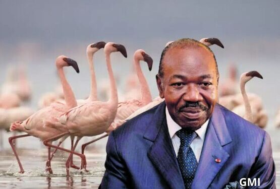Cambriolage chez Ali Bongo
