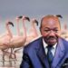 Cambriolage chez Ali Bongo