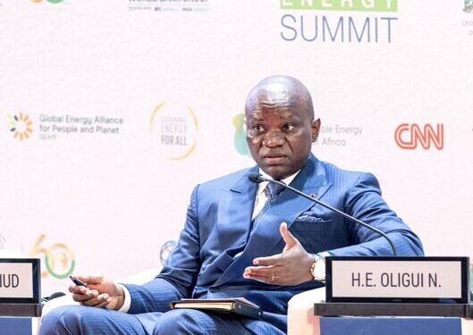 Sommet africain sur l'énergie