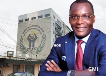 Ali Akbar Onanga YObegue et la CNLCEI
