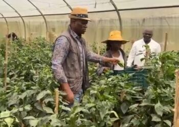 Le président Oligui Nguema dans ma ferme AGROPAG Ntoum