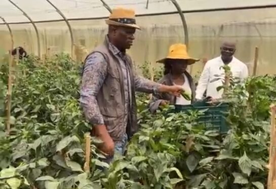 Le président Oligui Nguema dans ma ferme AGROPAG Ntoum