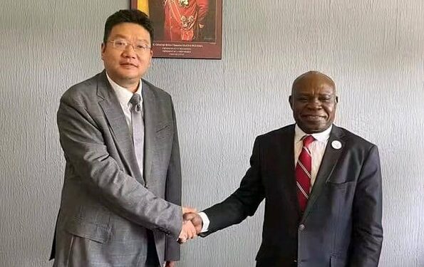 Le ministre de la Formation professionnelle Philippe Tonangoye et l'ambassadeur de Chine, Zhou Ping