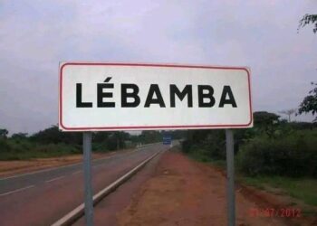 Panneau de lébamba