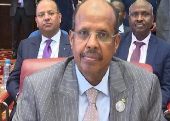 Mahmoud Ali Youssouf