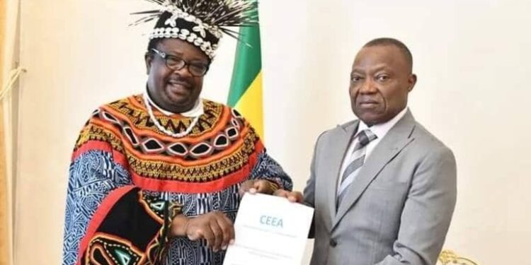 CEEA ( Coordination des Experts Électoraux Africains )