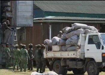 Camion chargé de cannabis au Gabon
