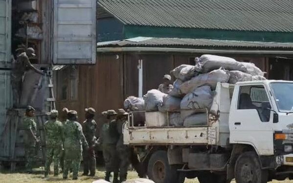 Camion chargé de cannabis au Gabon