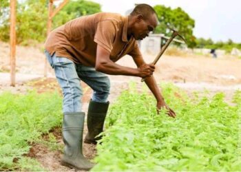Le Gabon se distingue au 2e Dialogue Brésil-Afrique sur la sécurité alimentaire