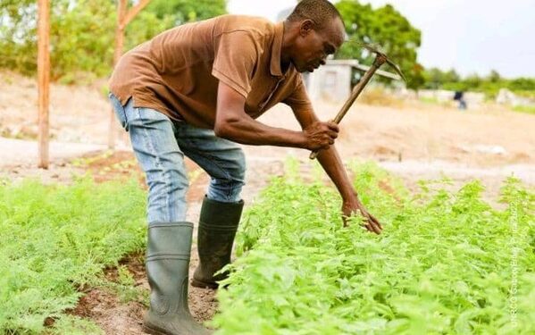 Le Gabon se distingue au 2e Dialogue Brésil-Afrique sur la sécurité alimentaire