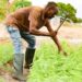 Le Gabon se distingue au 2e Dialogue Brésil-Afrique sur la sécurité alimentaire