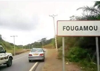 Koumba Nguema, victime d’un drame évitable
