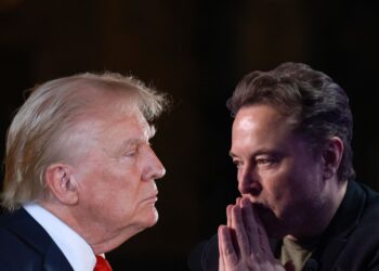 Donald Trump et Elon Musk