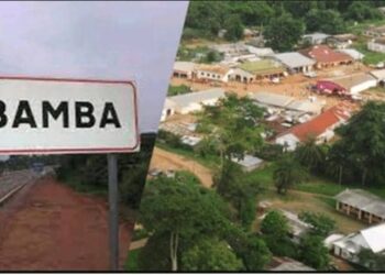Lebamba : Un chef de village, héros de la lutte contre le trafic de drogue