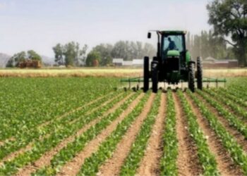 L&rsquo;agriculture au cœur de la souveraineté verte du Gabon