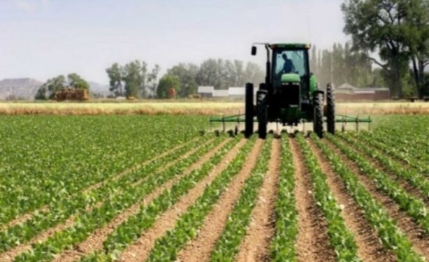 L&rsquo;agriculture au cœur de la souveraineté verte du Gabon