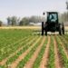 L&rsquo;agriculture au cœur de la souveraineté verte du Gabon