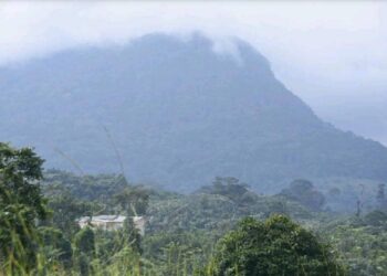 Saison au Gabon