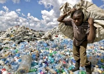 Semaine de l'environnement