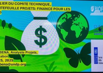 Le Comité technique du portefeuille financement des ODD trace une nouvelle feuille de route