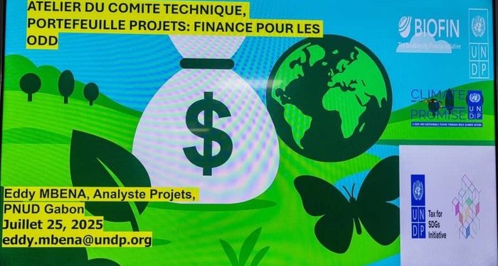 Le Comité technique du portefeuille financement des ODD trace une nouvelle feuille de route