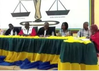 Affaire Renaldi Abaga Ngoua