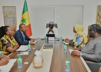 Délégation parlementaire gabonaise