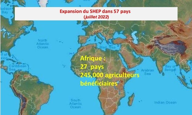 Projet TICAD9 de la JICA
