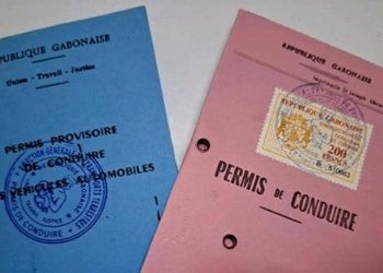 Permis de conduire mafieux