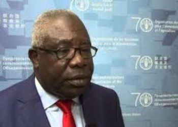 Mathieu Mboumba Nziengui